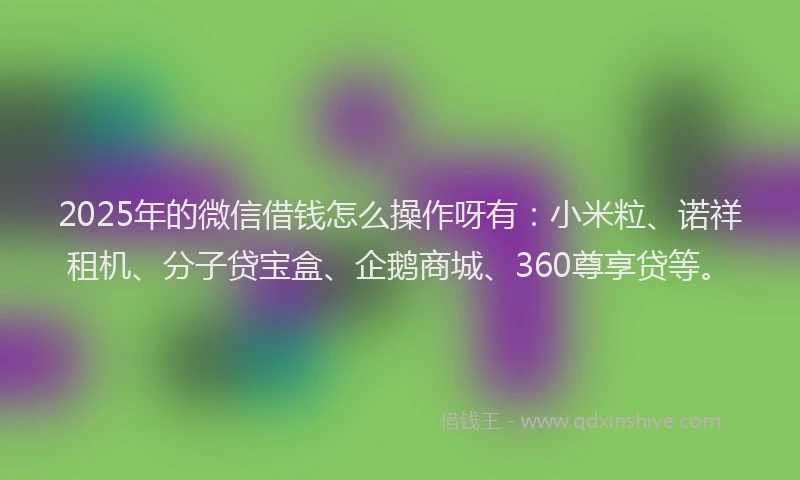 2025年的微信借钱怎么操作呀有：小米粒、诺祥租机、分子贷宝盒、企鹅商城、360尊享贷等。