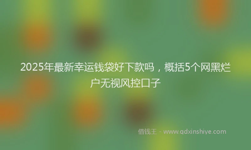 2025年最新幸运钱袋好下款吗，概括5个网黑烂户无视风控口子