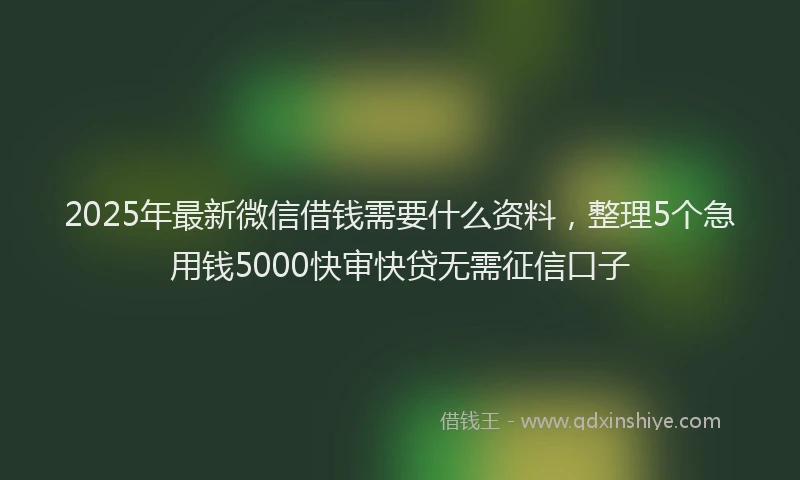 2025年最新微信借钱需要什么资料，整理5个急用钱5000快审快贷无需征信口子