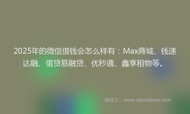 2025年的微信借钱会怎么样有：Max商城、钱速达融、借贷易融贷、优秒通、鑫享租物等。