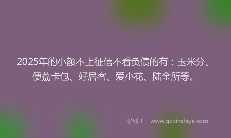 2025年的小额不上征信不看负债的有：玉米分、便荔卡包、好居客、爱小花、陆金所等。