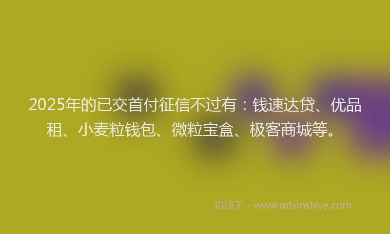 2025年的已交首付征信不过有：钱速达贷、优品租、小麦粒钱包、微粒宝盒、极客商城等。