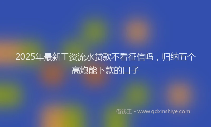 2025年最新工资流水贷款不看征信吗，归纳五个高炮能下款的口子