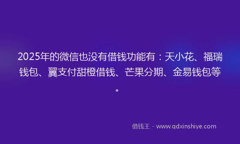 2025年的微信也没有借钱功能有：天小花、福瑞钱包、翼支付甜橙借钱、芒果分期、金易钱包等。