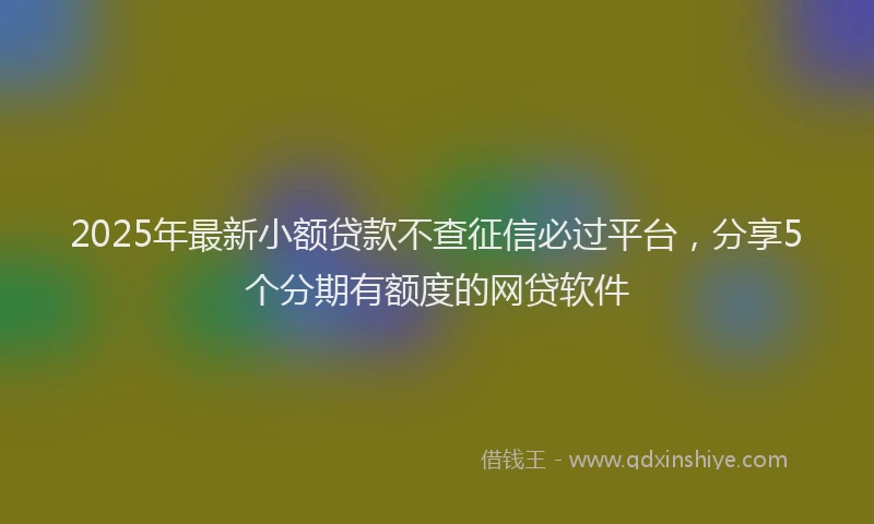 2025年最新小额贷款不查征信必过平台，分享5个分期有额度的网贷软件