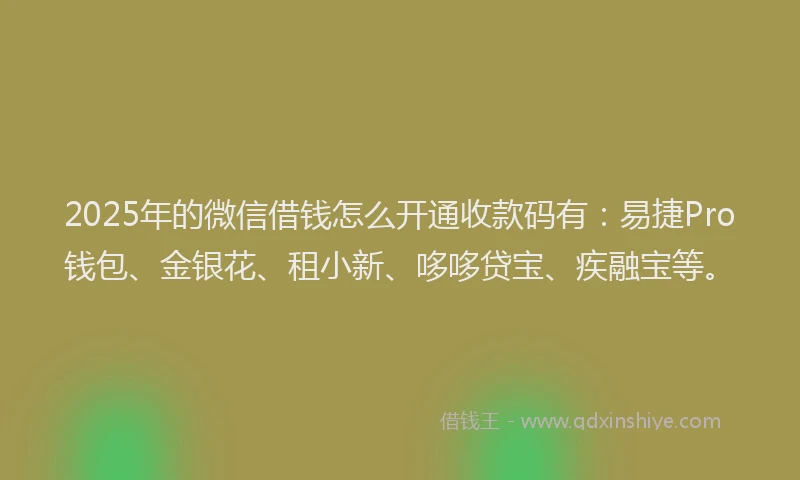 2025年的微信借钱怎么开通收款码有：易捷Pro钱包、金银花、租小新、哆哆贷宝、疾融宝等。