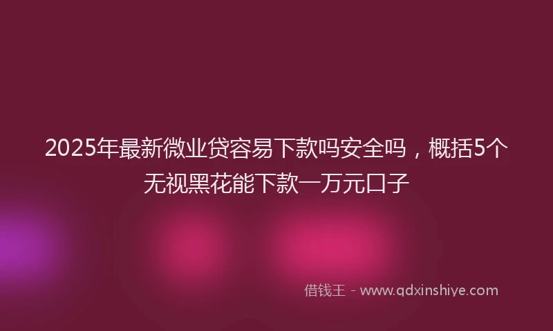 2025年最新微业贷容易下款吗安全吗，概括5个无视黑花能下款一万元口子