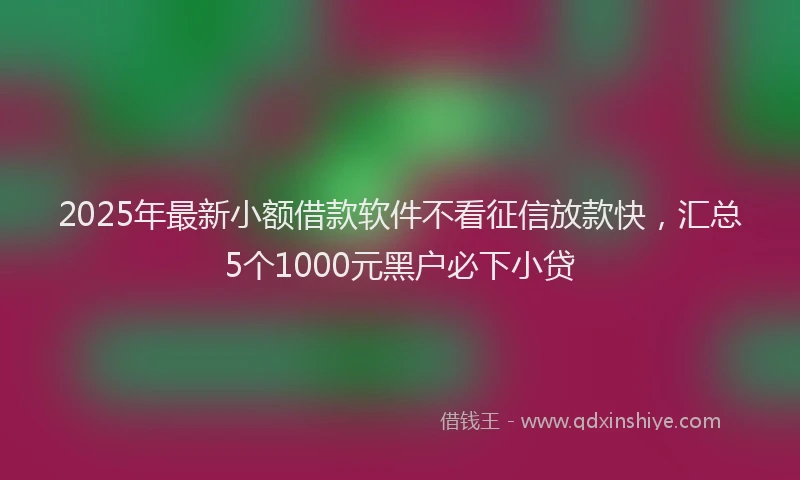 2025年最新小额借款软件不看征信放款快，汇总5个1000元黑户必下小贷