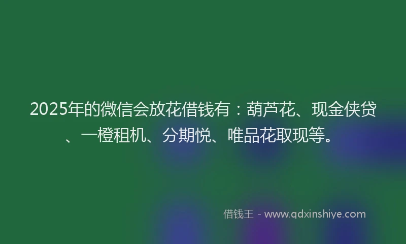 2025年的微信会放花借钱有：葫芦花、现金侠贷、一橙租机、分期悦、唯品花取现等。