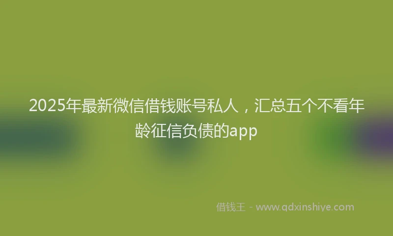 2025年最新微信借钱账号私人，汇总五个不看年龄征信负债的app