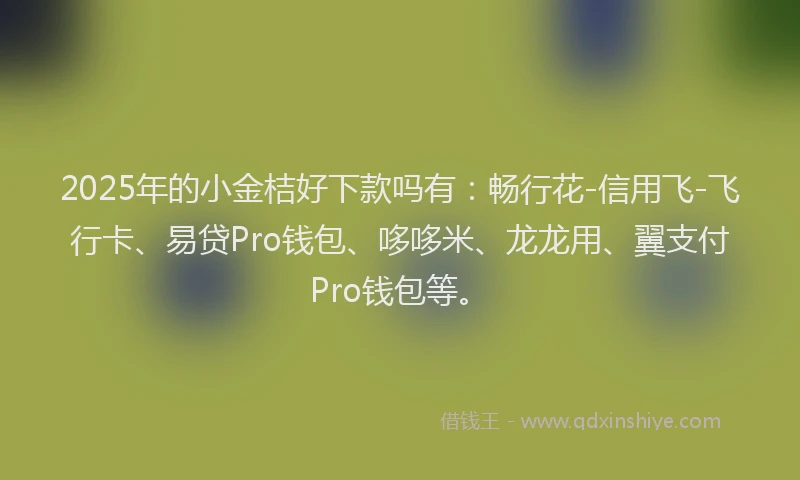 2025年的小金桔好下款吗有：畅行花-信用飞-飞行卡、易贷Pro钱包、哆哆米、龙龙用、翼支付Pro钱包等。
