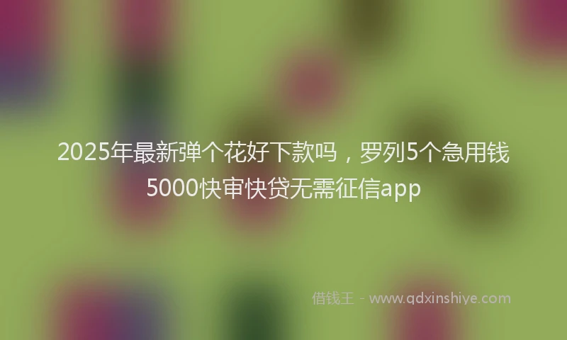 2025年最新弹个花好下款吗，罗列5个急用钱5000快审快贷无需征信app