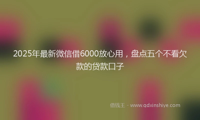 2025年最新微信借6000放心用，盘点五个不看欠款的贷款口子