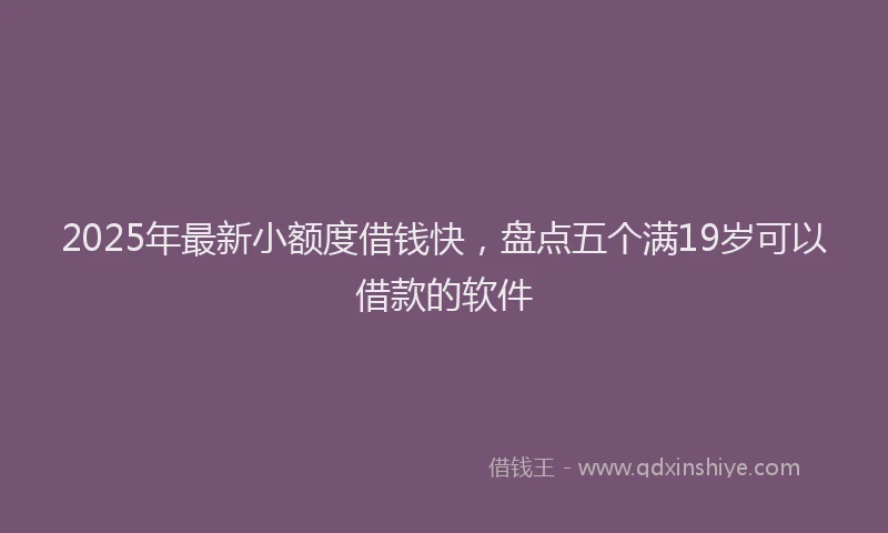 2025年最新小额度借钱快，盘点五个满19岁可以借款的软件