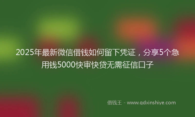 2025年最新微信借钱如何留下凭证，分享5个急用钱5000快审快贷无需征信口子