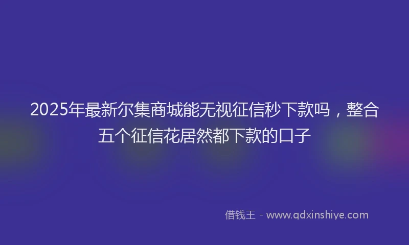 2025年最新尔集商城能无视征信秒下款吗，整合五个征信花居然都下款的口子