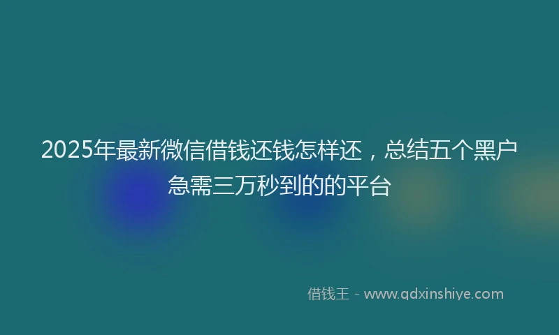 2025年最新微信借钱还钱怎样还，总结五个黑户急需三万秒到的的平台