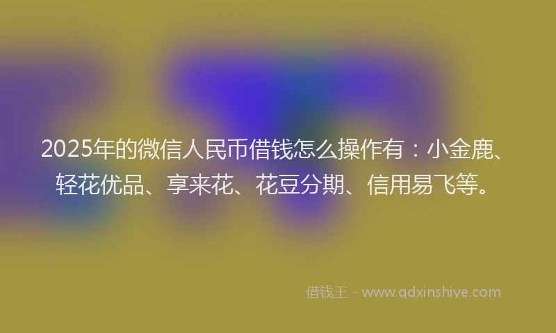 2025年的微信人民币借钱怎么操作有：小金鹿、轻花优品、享来花、花豆分期、信用易飞等。