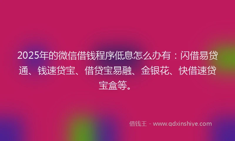2025年的微信借钱程序低息怎么办有：闪借易贷通、钱速贷宝、借贷宝易融、金银花、快借速贷宝盒等。