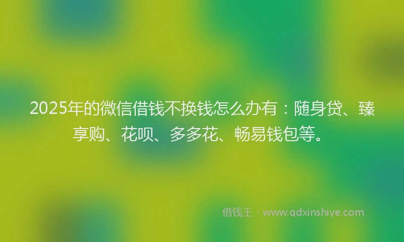 2025年的微信借钱不换钱怎么办有：随身贷、臻享购、花呗、多多花、畅易钱包等。