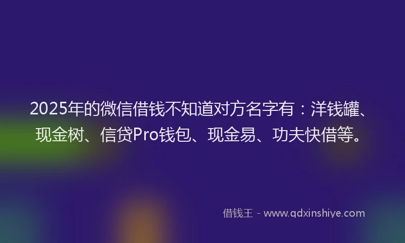 2025年的微信借钱不知道对方名字有：洋钱罐、现金树、信贷Pro钱包、现金易、功夫快借等。