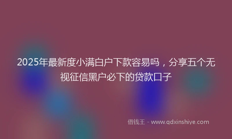 2025年最新度小满白户下款容易吗，分享五个无视征信黑户必下的贷款口子