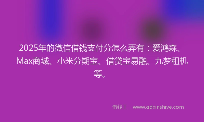 2025年的微信借钱支付分怎么弄有：爱鸿森、Max商城、小米分期宝、借贷宝易融、九梦租机等。