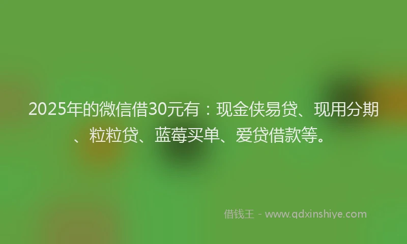 2025年的微信借30元有：现金侠易贷、现用分期、粒粒贷、蓝莓买单、爱贷借款等。