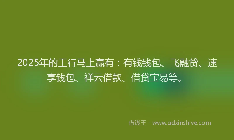 2025年的工行马上赢有：有钱钱包、飞融贷、速享钱包、祥云借款、借贷宝易等。