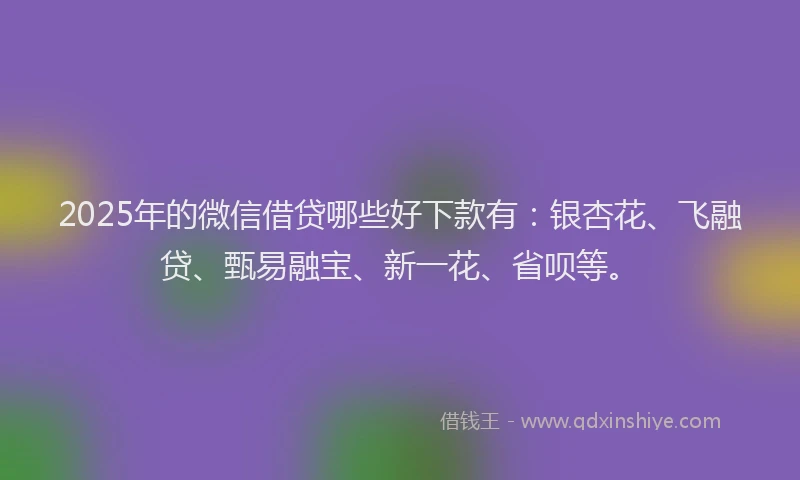 2025年的微信借贷哪些好下款有：银杏花、飞融贷、甄易融宝、新一花、省呗等。