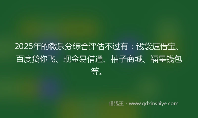 2025年的微乐分综合评估不过有：钱袋速借宝、百度贷你飞、现金易借通、柚子商城、福星钱包等。