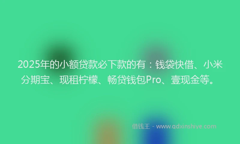 2025年的小额贷款必下款的有：钱袋快借、小米分期宝、现租柠檬、畅贷钱包Pro、壹现金等。