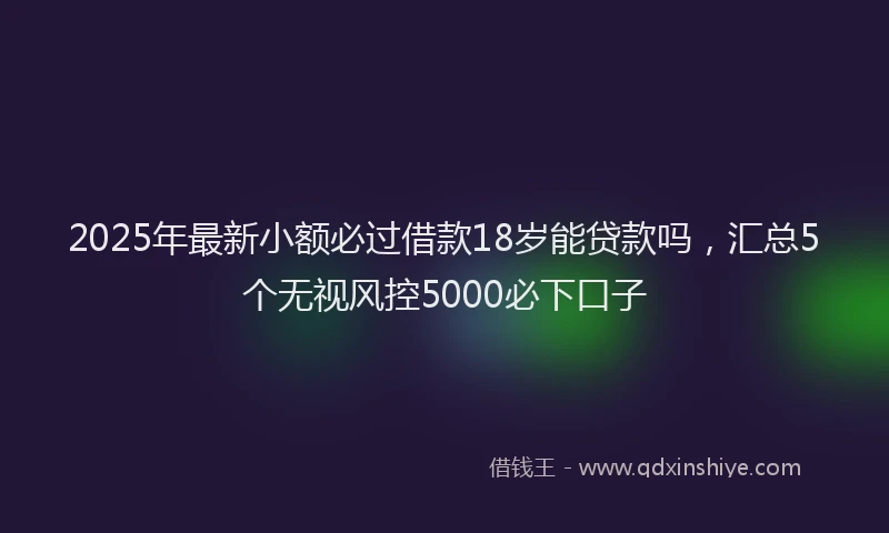 2025年最新小额必过借款18岁能贷款吗，汇总5个无视风控5000必下口子