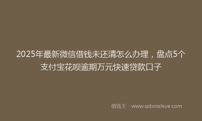 2025年最新微信借钱未还清怎么办理，盘点5个支付宝花呗逾期万元快速贷款口子