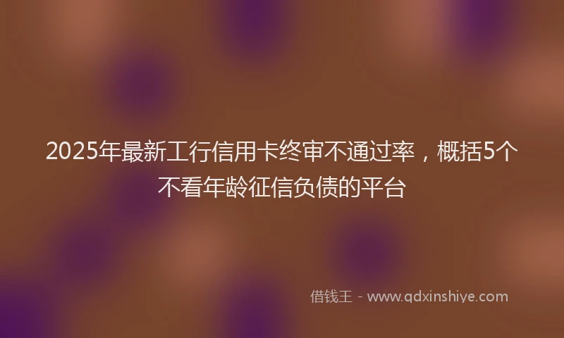 2025年最新工行信用卡终审不通过率，概括5个不看年龄征信负债的平台