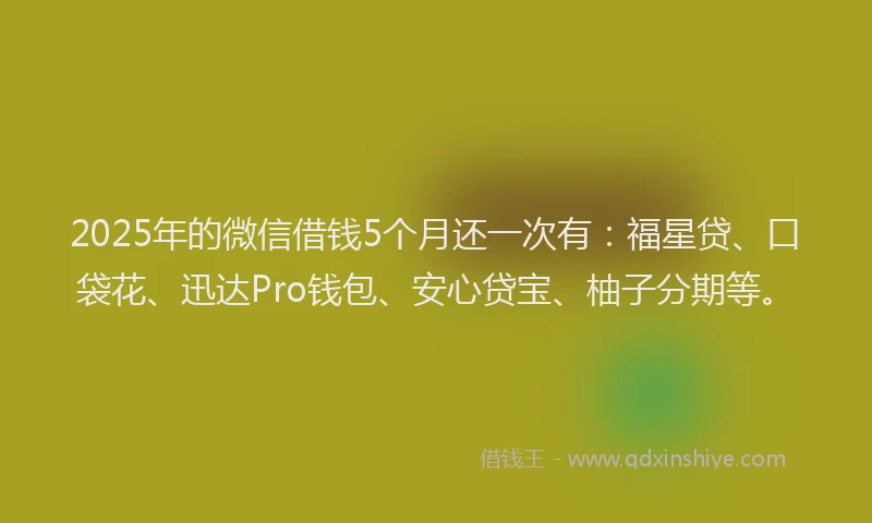 2025年的微信借钱5个月还一次有：福星贷、口袋花、迅达Pro钱包、安心贷宝、柚子分期等。