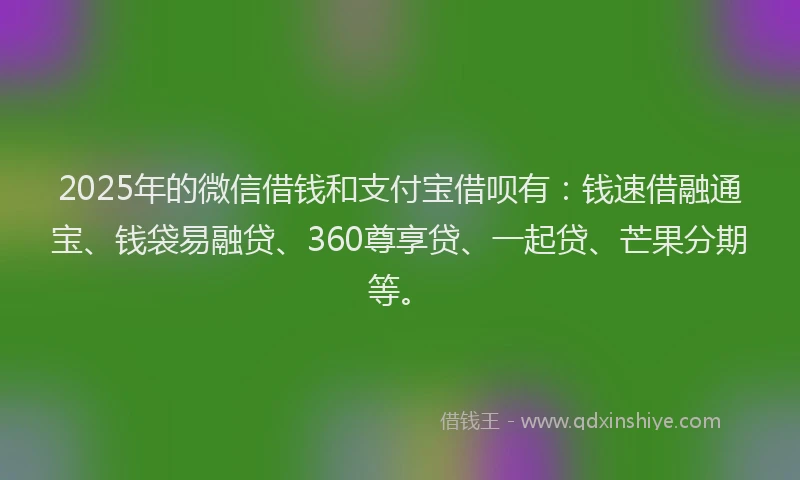 2025年的微信借钱和支付宝借呗有：钱速借融通宝、钱袋易融贷、360尊享贷、一起贷、芒果分期等。