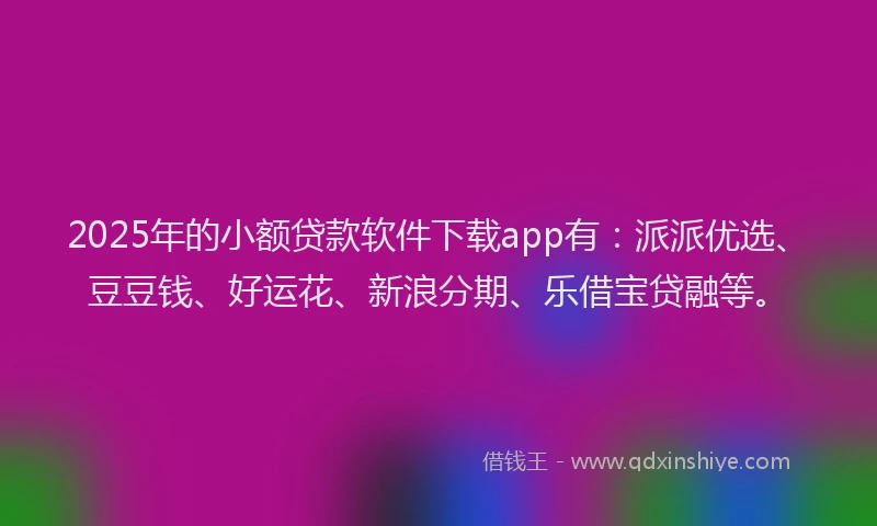 2025年的小额贷款软件下载app有：派派优选、豆豆钱、好运花、新浪分期、乐借宝贷融等。