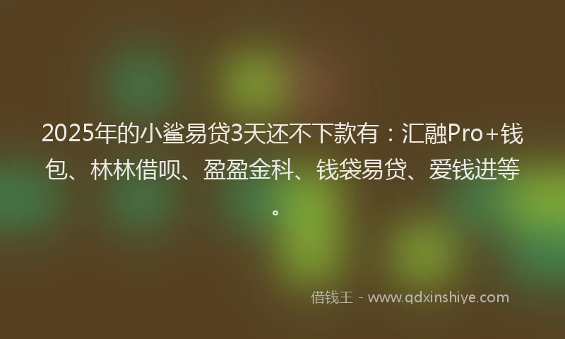2025年的小鲨易贷3天还不下款有：汇融Pro+钱包、林林借呗、盈盈金科、钱袋易贷、爱钱进等。