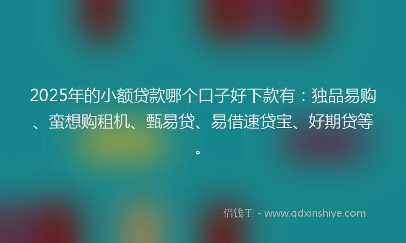 2025年的小额贷款哪个口子好下款有：独品易购、蛮想购租机、甄易贷、易借速贷宝、好期贷等。