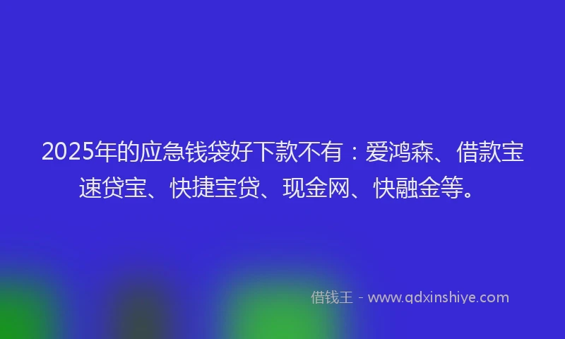 2025年的应急钱袋好下款不有：爱鸿森、借款宝速贷宝、快捷宝贷、现金网、快融金等。