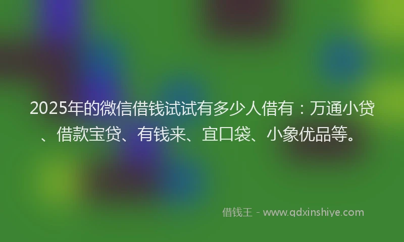 2025年的微信借钱试试有多少人借有：万通小贷、借款宝贷、有钱来、宜口袋、小象优品等。