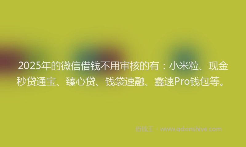 2025年的微信借钱不用审核的有：小米粒、现金秒贷通宝、臻心贷、钱袋速融、鑫速Pro钱包等。