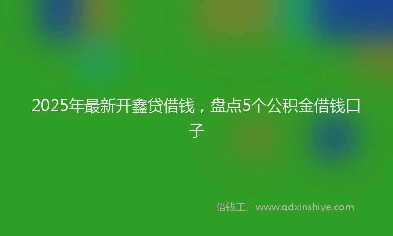 2025年最新开鑫贷借钱，盘点5个公积金借钱口子