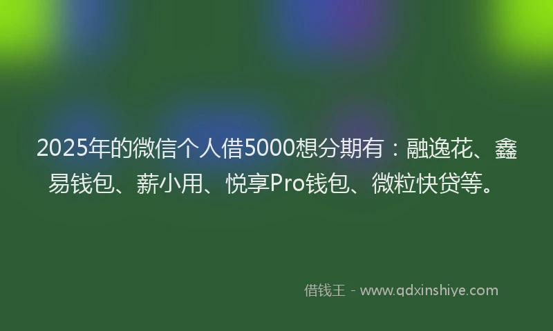 2025年的微信个人借5000想分期有：融逸花、鑫易钱包、薪小用、悦享Pro钱包、微粒快贷等。