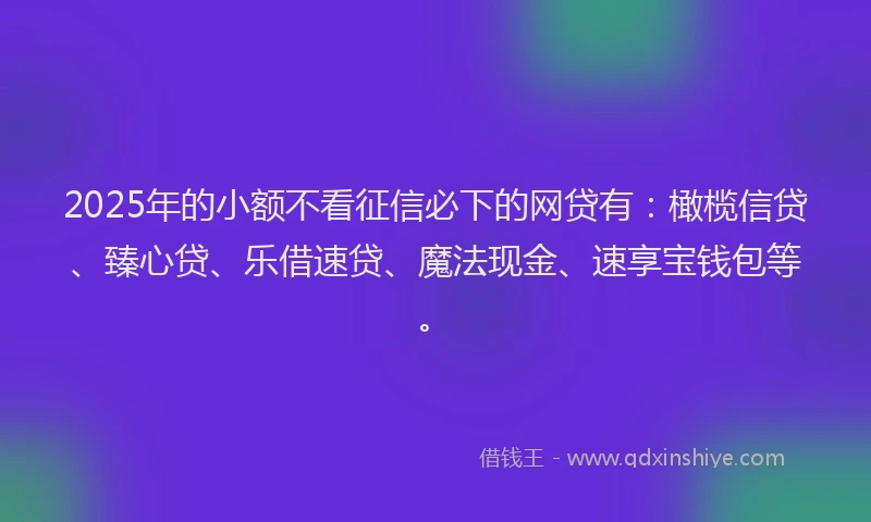 2025年的小额不看征信必下的网贷有：橄榄信贷、臻心贷、乐借速贷、魔法现金、速享宝钱包等。