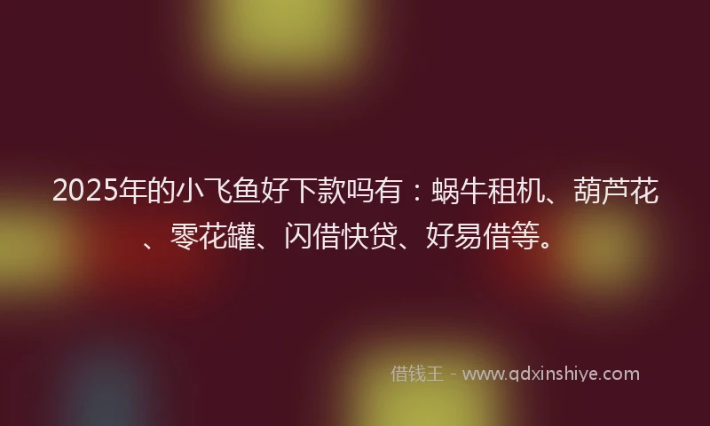 2025年的小飞鱼好下款吗有：蜗牛租机、葫芦花、零花罐、闪借快贷、好易借等。