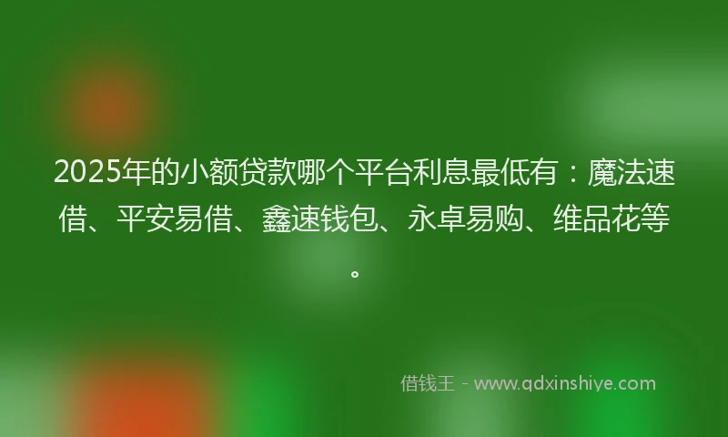 2025年的小额贷款哪个平台利息最低有：魔法速借、平安易借、鑫速钱包、永卓易购、维品花等。