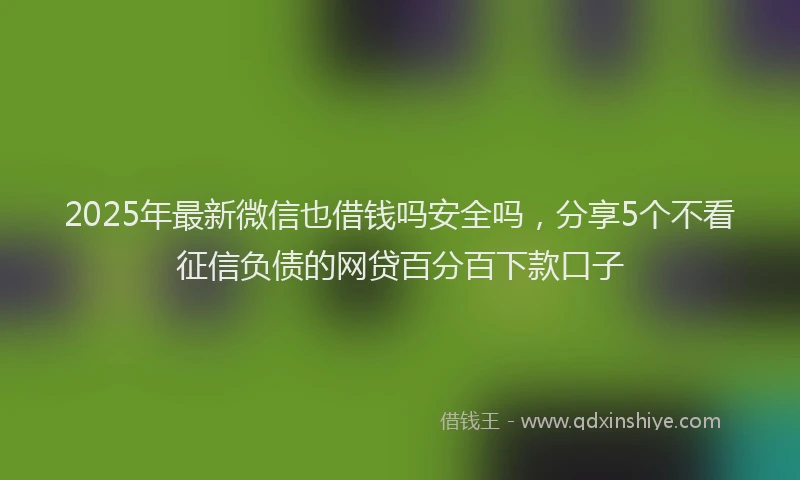2025年最新微信也借钱吗安全吗，分享5个不看征信负债的网贷百分百下款口子