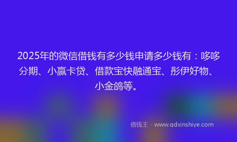 2025年的微信借钱有多少钱申请多少钱有：哆哆分期、小赢卡贷、借款宝快融通宝、彤伊好物、小金鸽等。